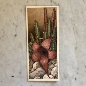 FREE WITH BUNLDE: Vintage Dutch Trading Card